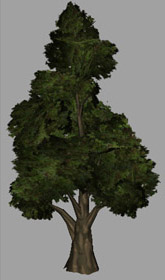 Tree model