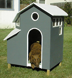 Scuba in her House